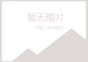 小金县冰夏化学有限公司